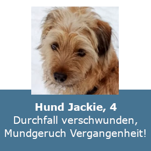 Hund Jackie — Durchfall verschwunden