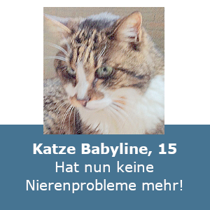 Katze Babyline — keine Nierenprobleme