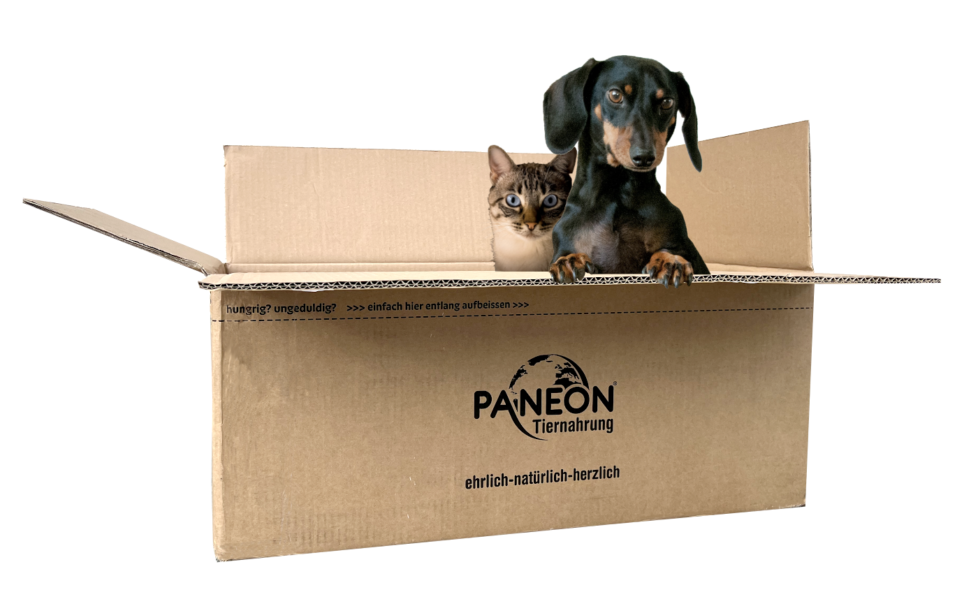Hund und Katze in PANEON Box